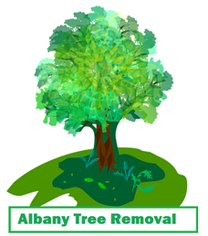 Albany Tree Removal